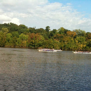 Meet your Posher, Cameron